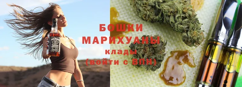 Бошки Шишки SATIVA & INDICA  где купить наркоту  Кострома 